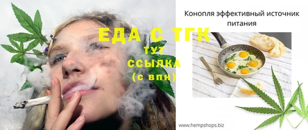 стафф Бородино