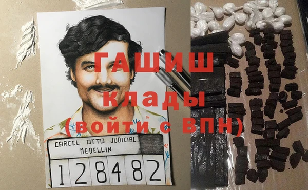 стафф Бородино