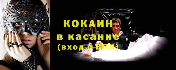 стафф Бородино