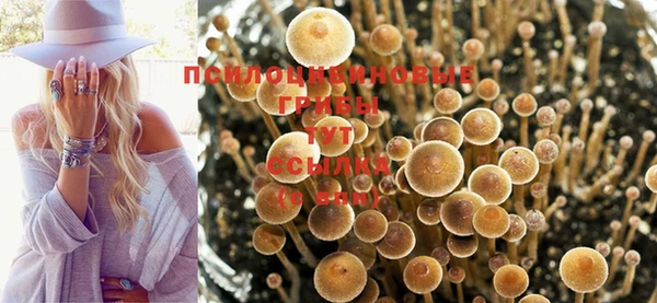 стафф Бородино