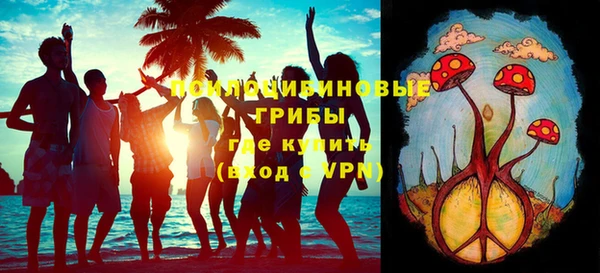 стафф Бородино