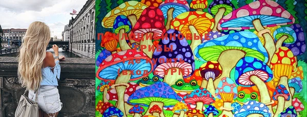 крисы Бронницы
